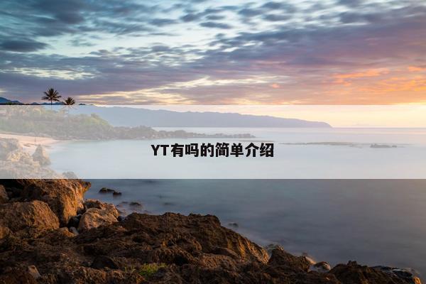 YT有吗的简单介绍