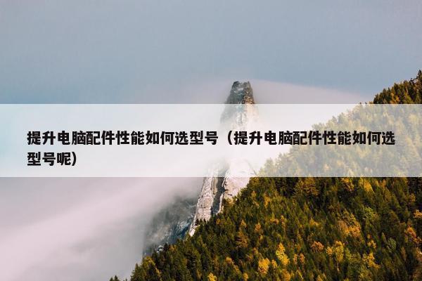 提升电脑配件性能如何选型号(提升电脑配件性能如何选型号呢)
