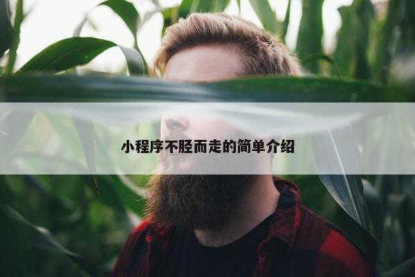 小程序不胫而走的简单介绍