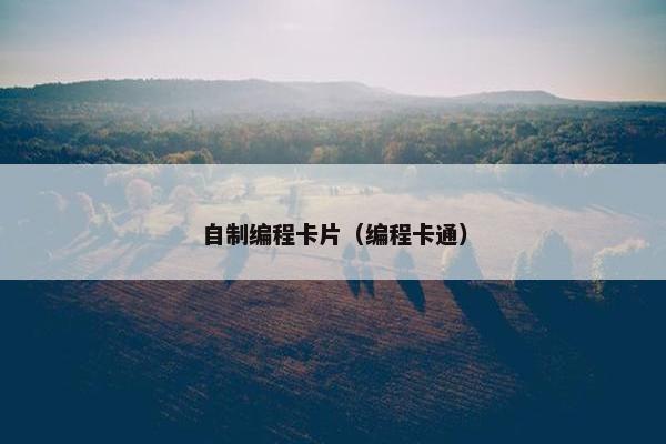 自制编程卡片（编程卡通）