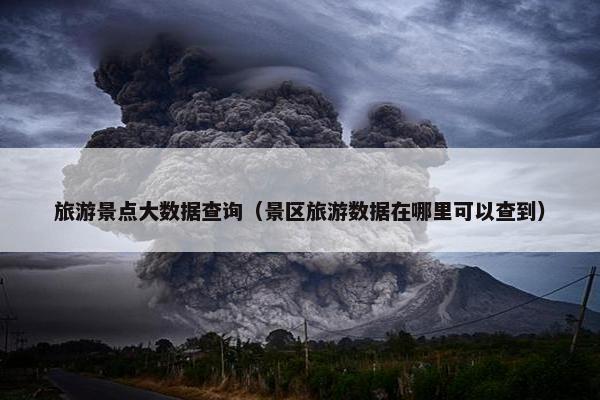 旅游景点大数据查询（景区旅游数据在哪里可以查到）