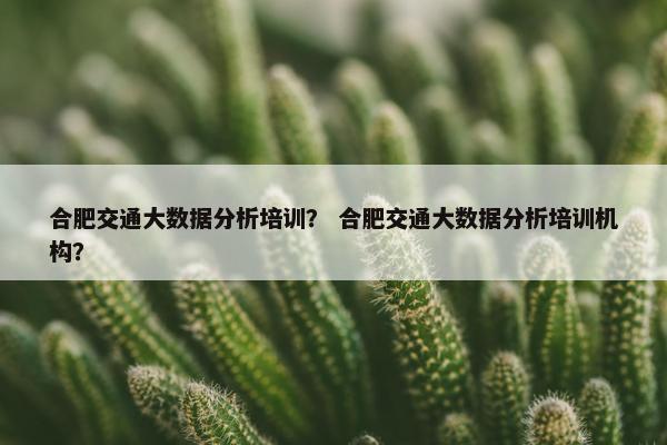 合肥交通大数据分析培训? 合肥交通大数据分析培训机构?