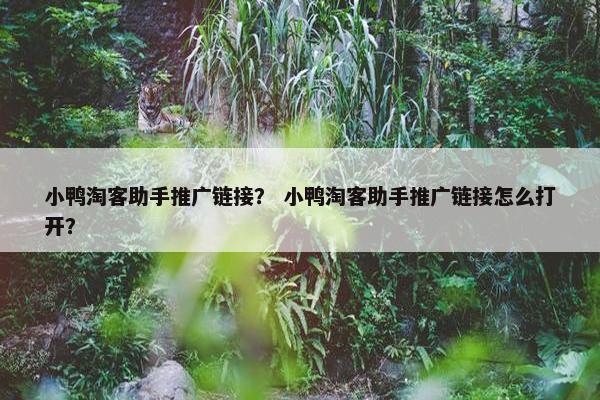 小鸭淘客助手推广链接? 小鸭淘客助手推广链接怎么打开?