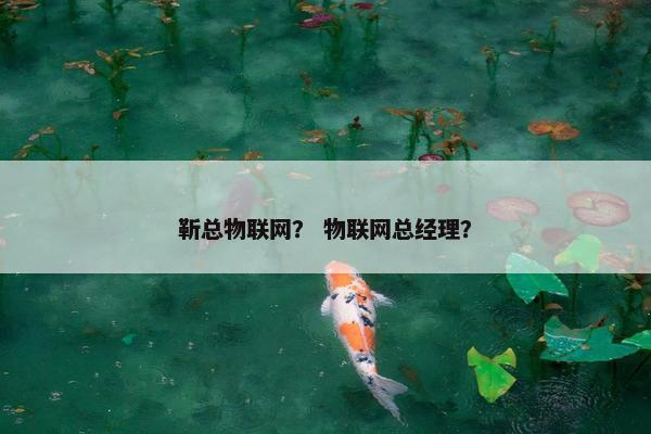 靳总物联网？ 物联网总经理？