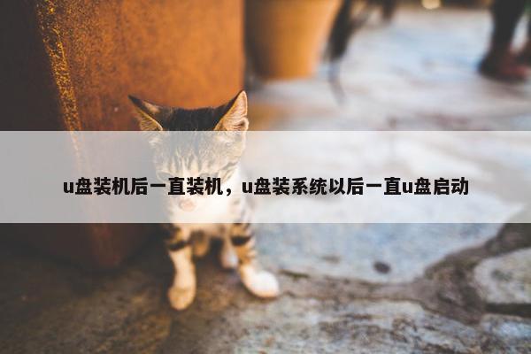 u盘装机后一直装机,u盘装系统以后一直u盘启动