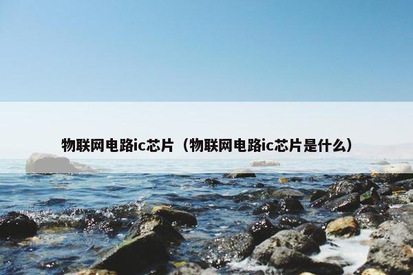 物联网电路ic芯片(物联网电路ic芯片是什么)