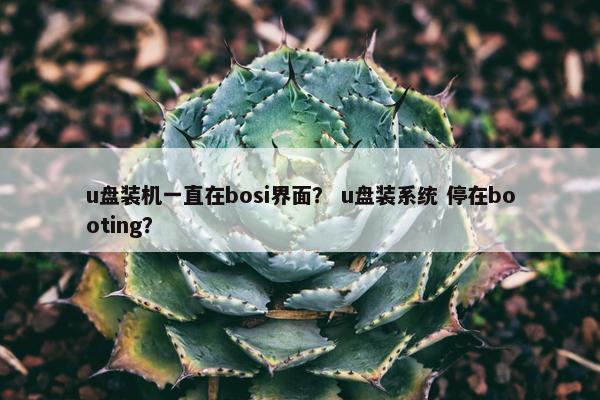u盘装机一直在bosi界面? u盘装系统 停在booting? u盘装机一直在bosi界面? u盘装系统 停在booting?