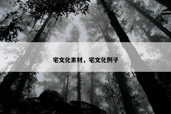 宅文化素材,宅文化例子 宅文化素材,宅文化例子