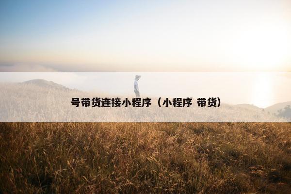 号带货连接小程序(小程序 带货)