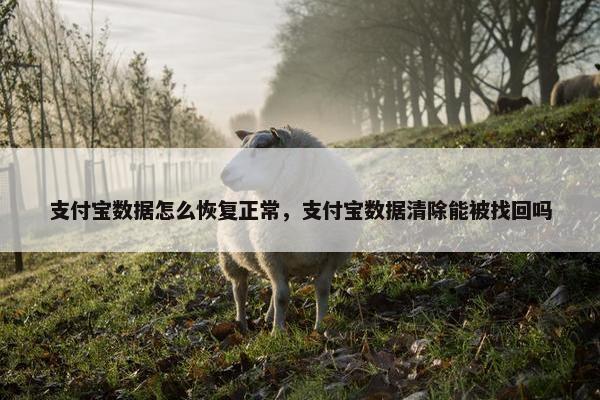 支付宝数据怎么恢复正常,支付宝数据清除能被找回吗
