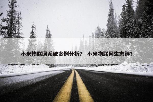 小米物联网系统案例分析? 小米物联网生态链?
