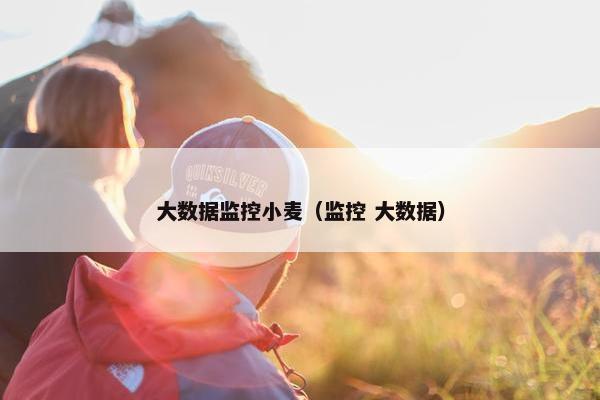 大数据监控小麦(监控 大数据)