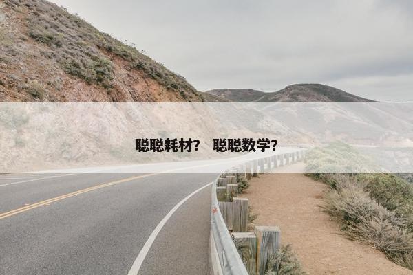 聪聪耗材? 聪聪数学?