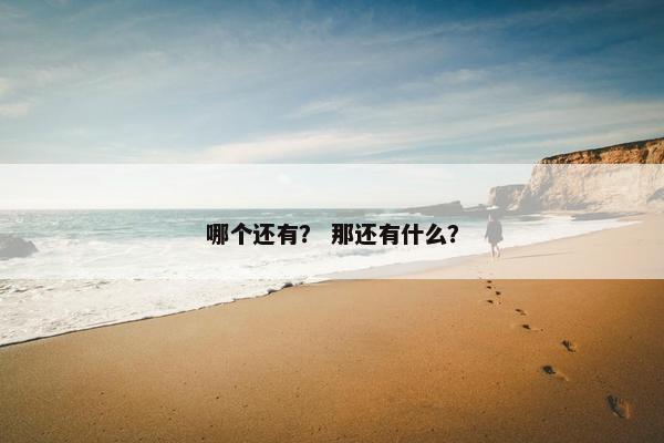 哪个还有? 那还有什么?