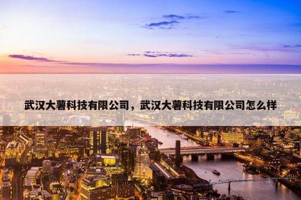 武汉大薯科技有限公司,武汉大薯科技有限公司怎么样
