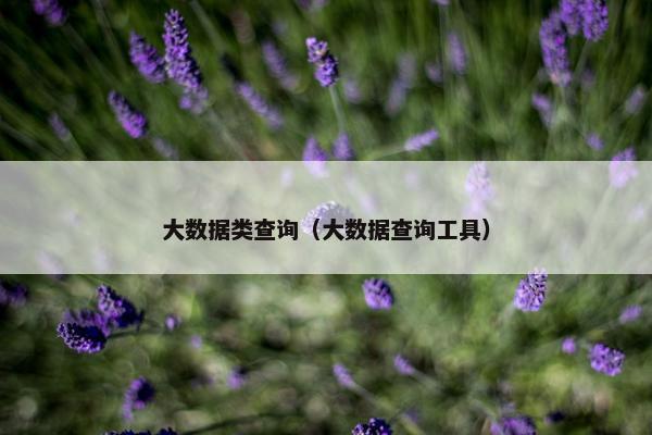大数据类查询(大数据查询工具)