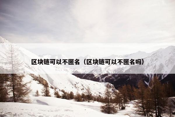 区块链可以不匿名(区块链可以不匿名吗)