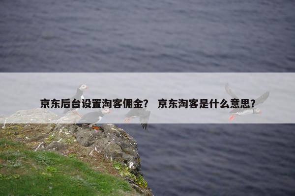 京东后台设置淘客佣金? 京东淘客是什么意思?