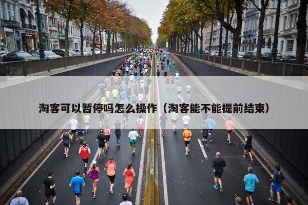 淘客可以暂停吗怎么操作(淘客能不能提前结束)