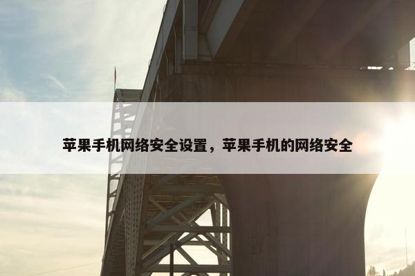 苹果手机网络安全设置,苹果手机的网络安全