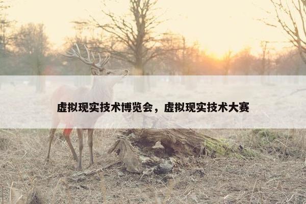 虚拟现实技术博览会,虚拟现实技术大赛 虚拟现实技术博览会,虚拟现实技术大赛