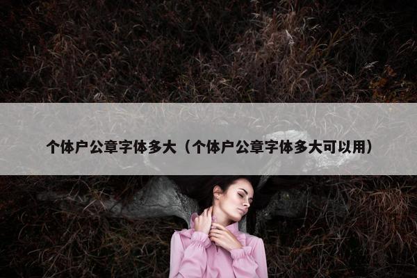 个体户公章字体多大(个体户公章字体多大可以用) 个体户公章字体多大(个体户公章字体多大可以用)