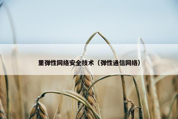 里弹性网络安全技术(弹性通信网络)