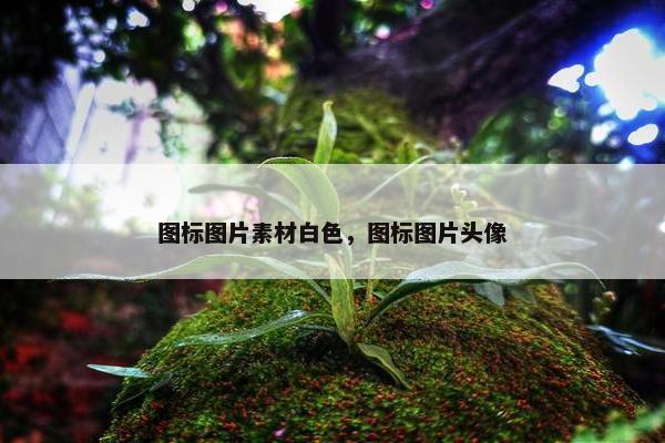 图标图片素材白色,图标图片头像 图标图片素材白色,图标图片头像