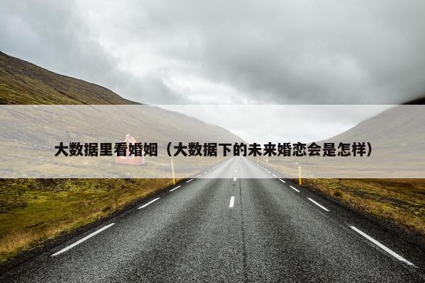 大数据里看婚姻(大数据下的未来婚恋会是怎样)