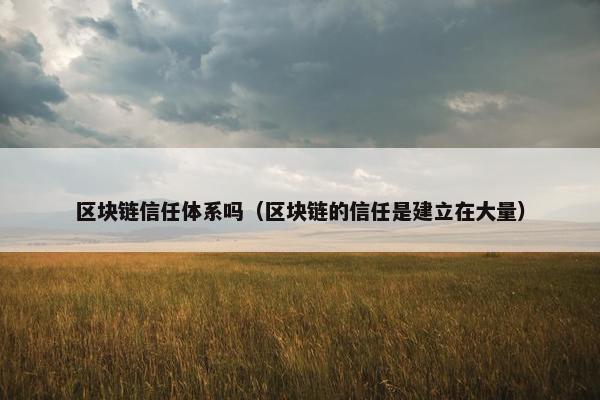 区块链信任体系吗(区块链的信任是建立在大量)