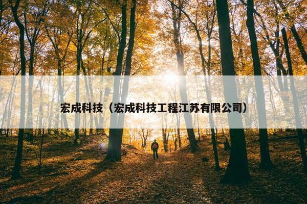 宏成科技(宏成科技工程江苏有限公司) 宏成科技(宏成科技工程江苏有限公司)