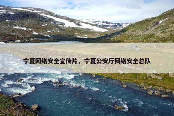 宁夏网络安全宣传片,宁夏公安厅网络安全总队