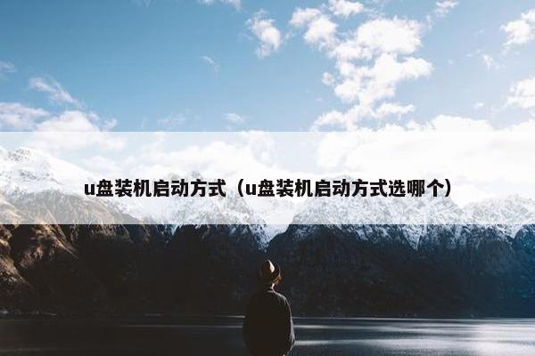 u盘装机启动方式(u盘装机启动方式选哪个)