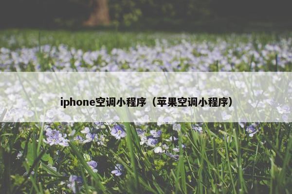 iphone空调小程序(苹果空调小程序)