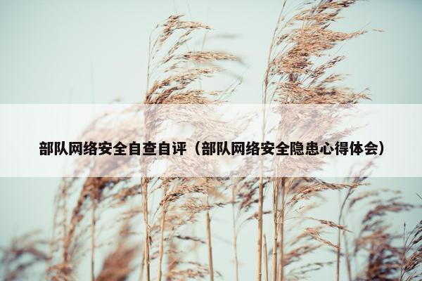 部队网络安全自查自评(部队网络安全隐患心得体会)