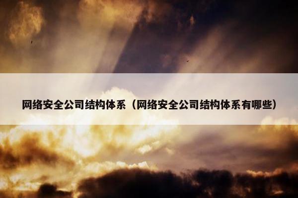 网络安全公司结构体系(网络安全公司结构体系有哪些)
