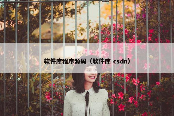 软件库程序源码(软件库 csdn)