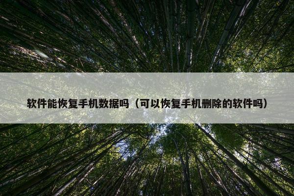 软件能恢复手机数据吗(可以恢复手机删除的软件吗)