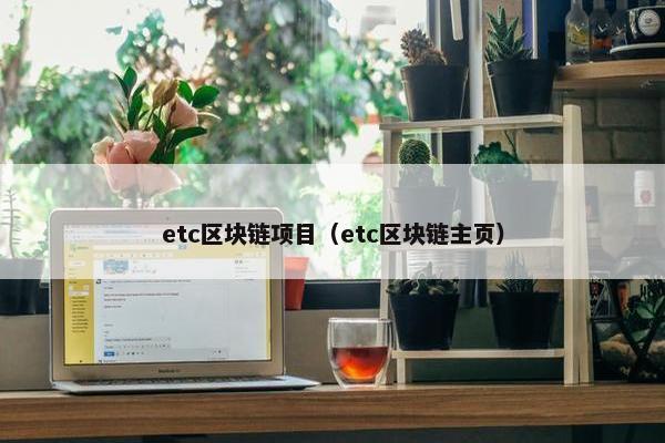 etc区块链项目(etc区块链主页)