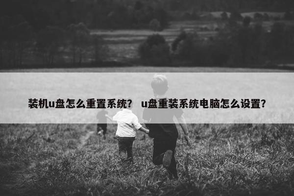 装机u盘怎么重置系统? u盘重装系统电脑怎么设置?
