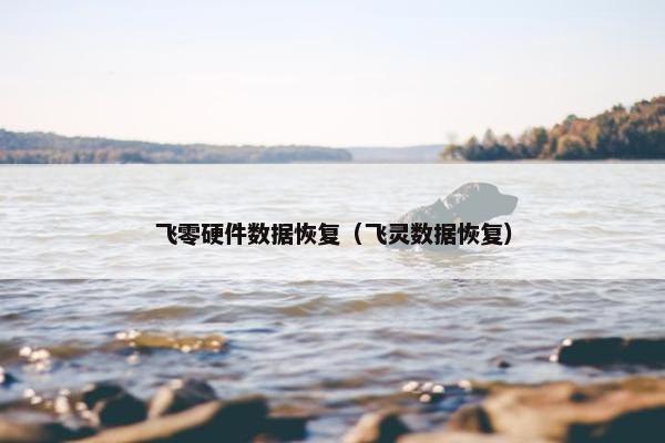 飞零硬件数据恢复（飞灵数据恢复）
