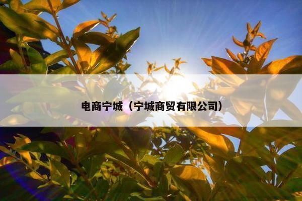 电商宁城(宁城商贸有限公司)