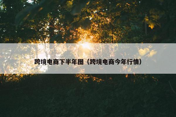 跨境电商下半年图(跨境电商今年行情)