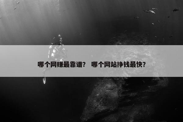 哪个网赚最靠谱? 哪个网站挣钱最快?