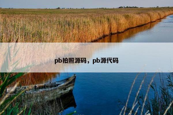 pb拍照源码,pb源代码