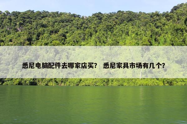 悉尼电脑配件去哪家店买? 悉尼家具市场有几个? 悉尼电脑配件去哪家店买? 悉尼家具市场有几个?