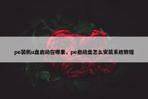 pe装机u盘启动在哪里,pe启动盘怎么安装系统教程