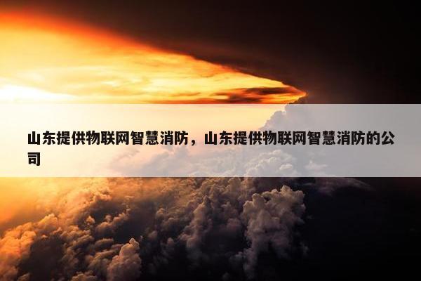 山东提供物联网智慧消防,山东提供物联网智慧消防的公司