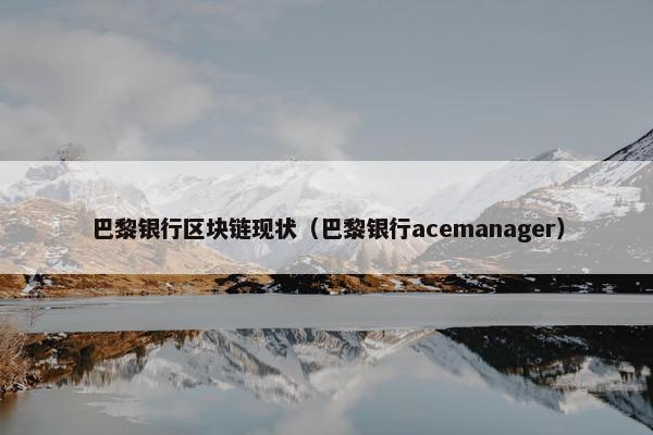 巴黎银行区块链现状(巴黎银行acemanager)