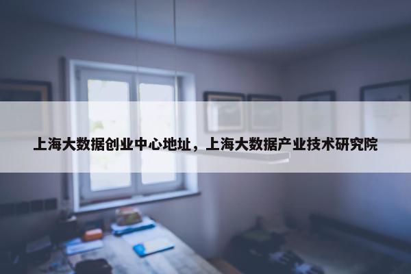 上海大数据创业中心地址,上海大数据产业技术研究院
